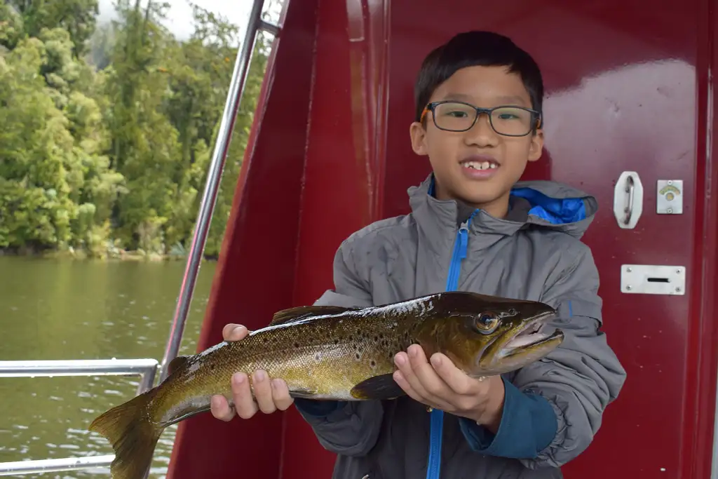 Franz Josef Fishing Charter