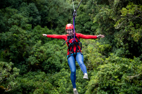 forest walk and zip line deal