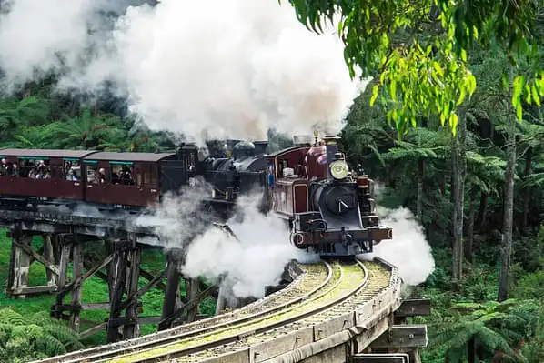 Puffing Billy and Phillip Island Penguin Parade tour from Melbourne