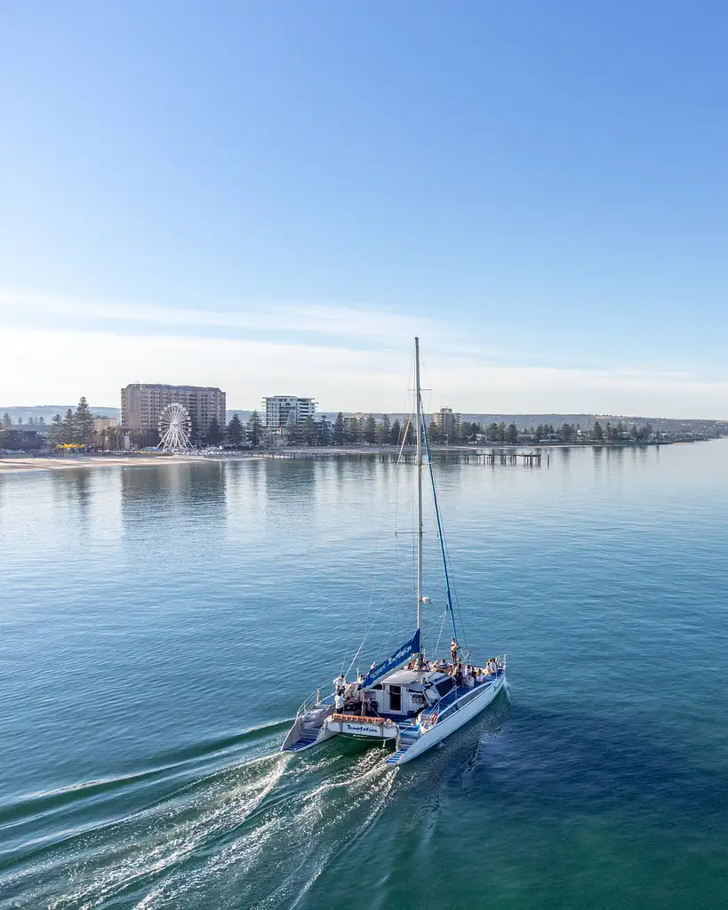 Wild Dolphin Watch from Adelaide