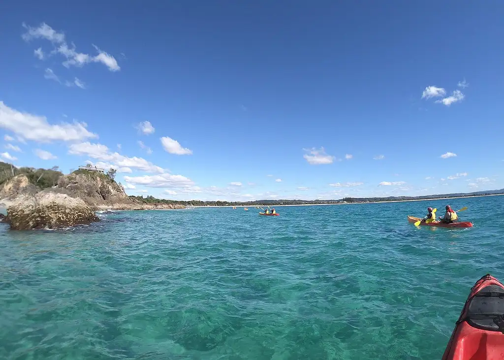 Dolphin Watching and Kayaking Experience from Byron Bay