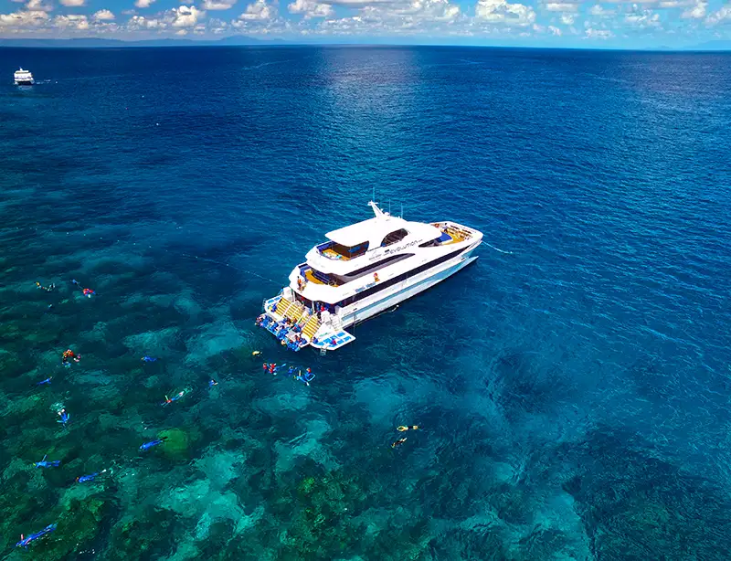Ultimate TNQ 3 Day Package – Reef, Rainforest & Outback**SAVE $103pp**