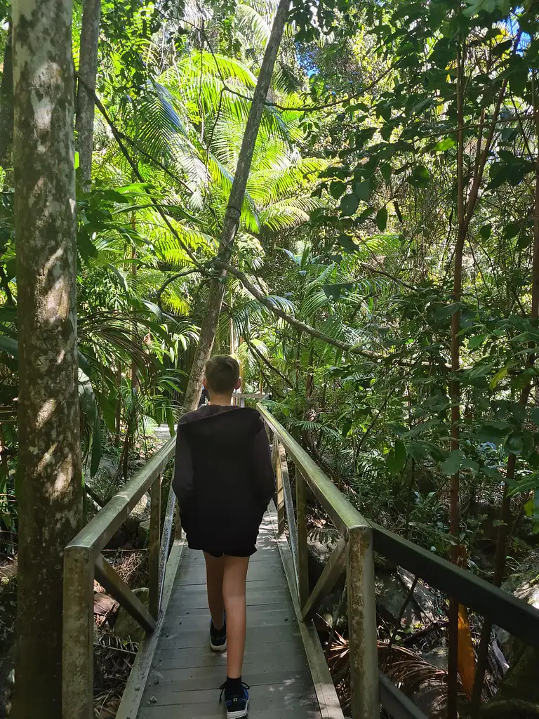 Explore Mt Tamborine Day Tour
