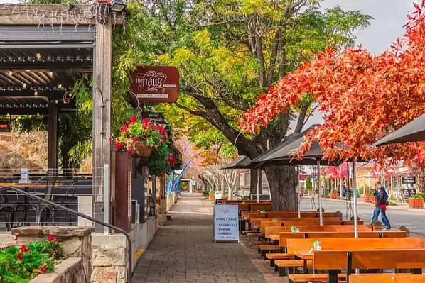 Adelaide city street shaded by trees with green and orange leaves