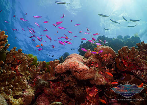 Great Barrier Reef Dive Trip