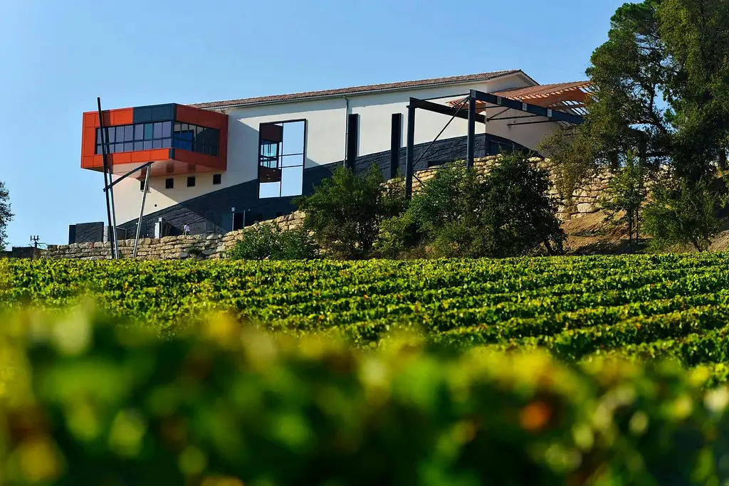 From Bordeaux An Afternoon in Saint-Emilion | Half-day Tour