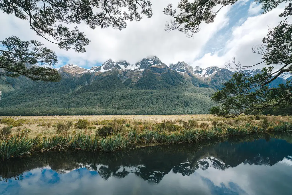 20 Day Tui Tour | Auckland to Christchurch | Stray