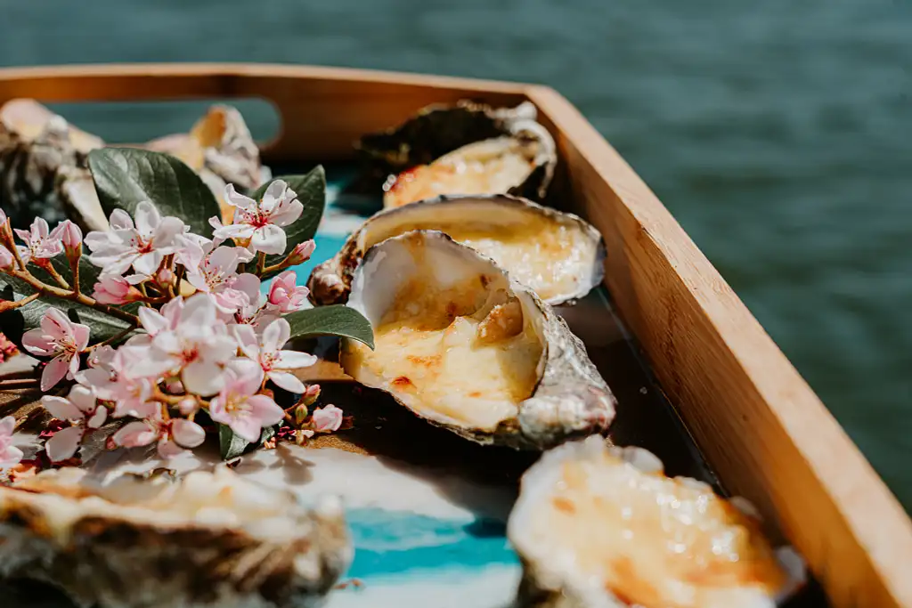 2 Hour Mooloolaba Native Bushfood And Seafood Cruise