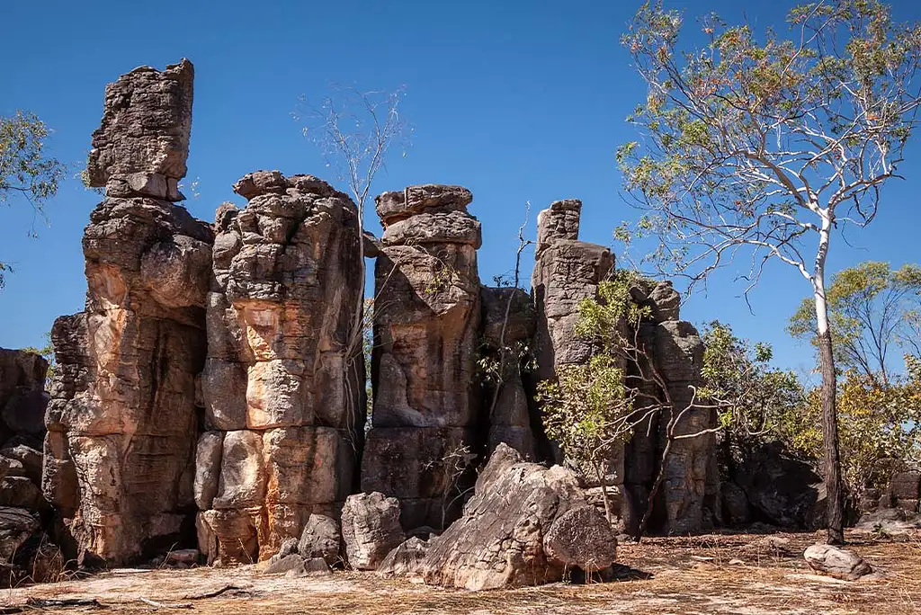 6 Day Top End & Kakadu Explorer from Darwin - Intrepid Travel