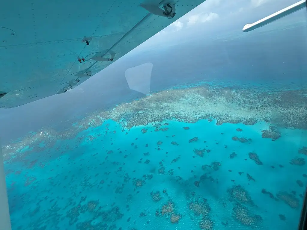 Outer Edges of The Great Barrier Reef Scenic Flight
