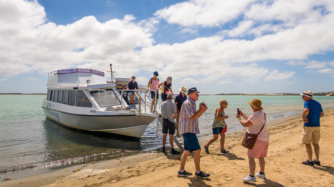 Coorong Adventure Cruise