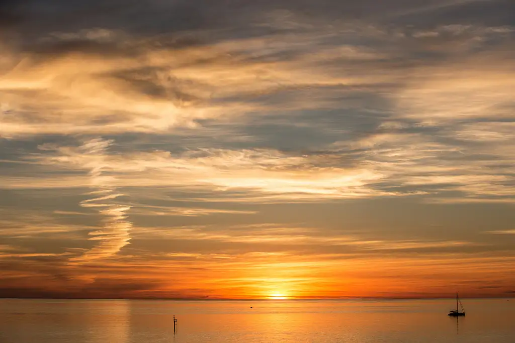Afternoon Wine Tasting & Adelaide Coast Tour | Half Day