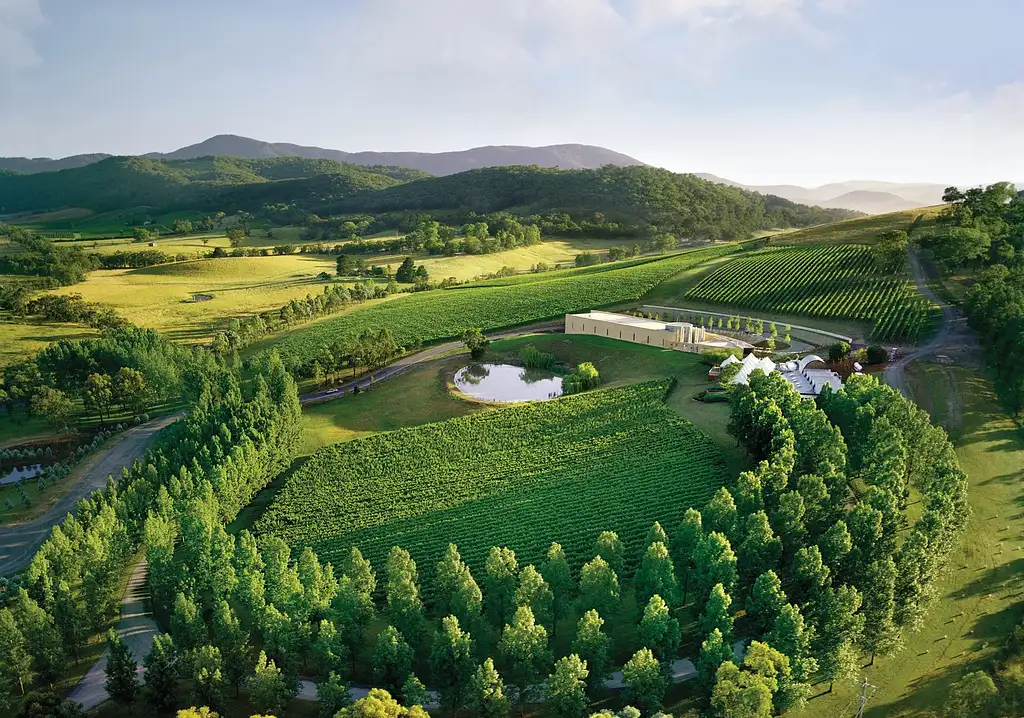 Yarra Valley Wineries Day Tour