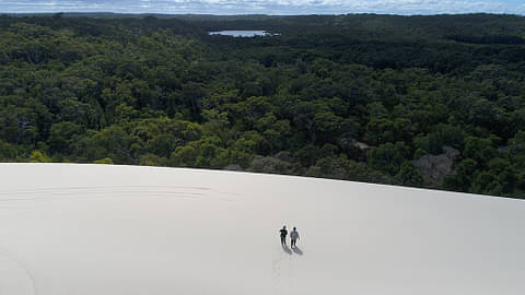 half day eco discovery tours pemberton