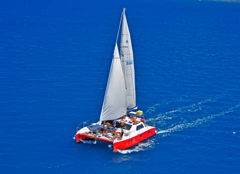 tour deal whitsundays cruise
