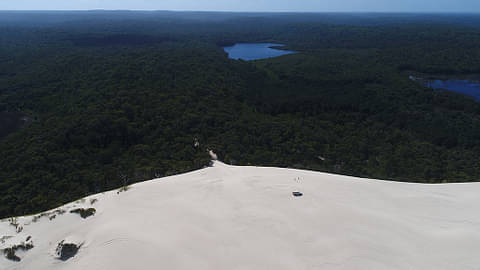 half day beach and forest eco safari pemberton