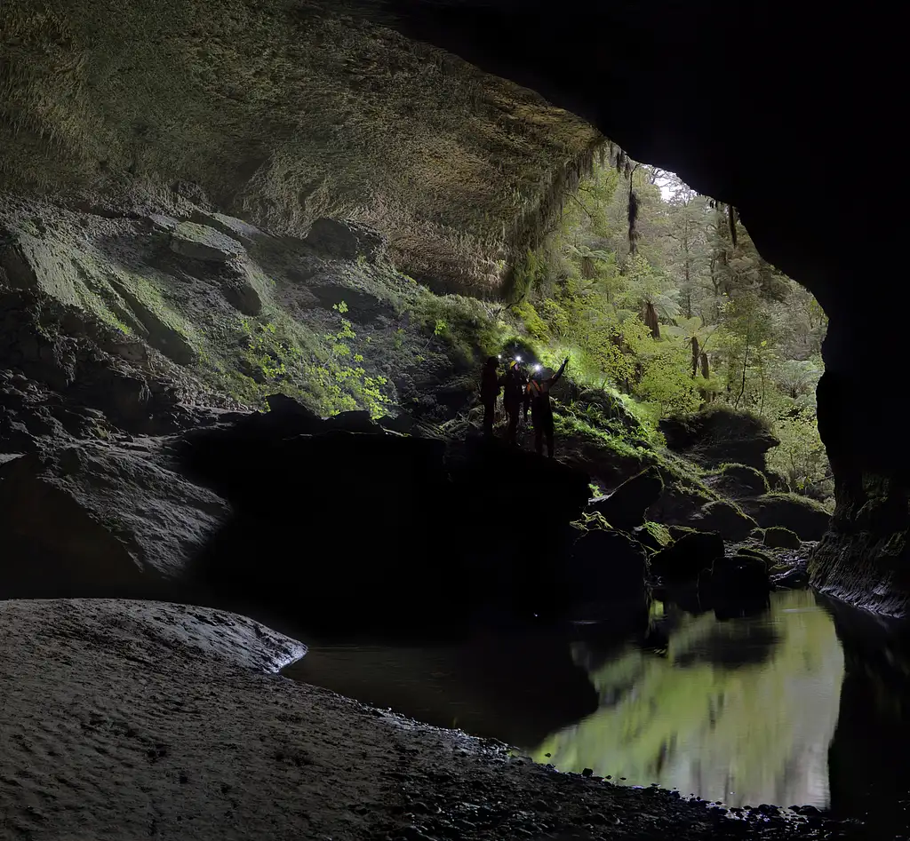 Glow Worm Cave Tour | West Coast