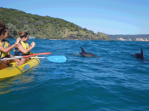 Dolphin View Kayak + Great Beach Drive Adventure - Rainbow Beach Tour