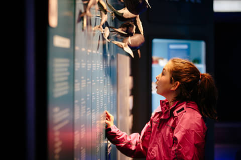 discount museum entry christchurch