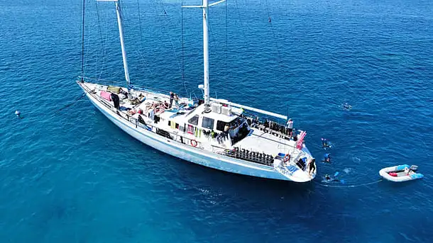 3D/3N Whitsundays Sailing Adventure on Summer