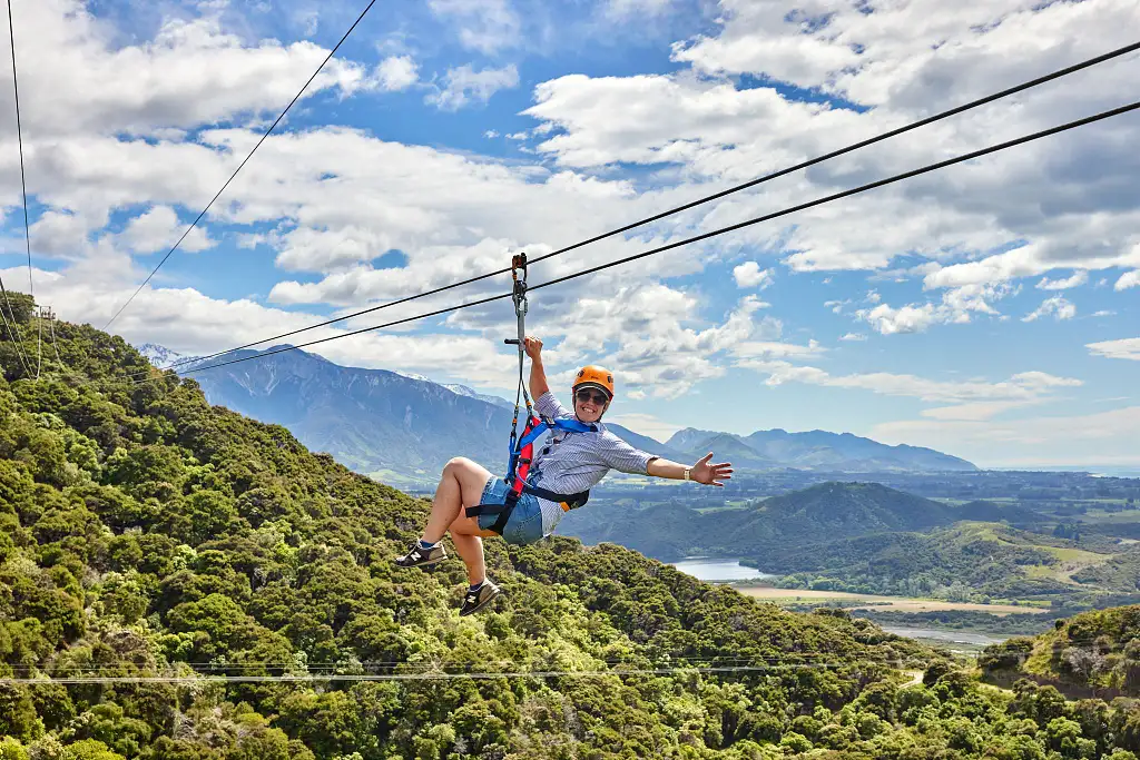 Ziplining & Native Forest Trail | Kaikoura