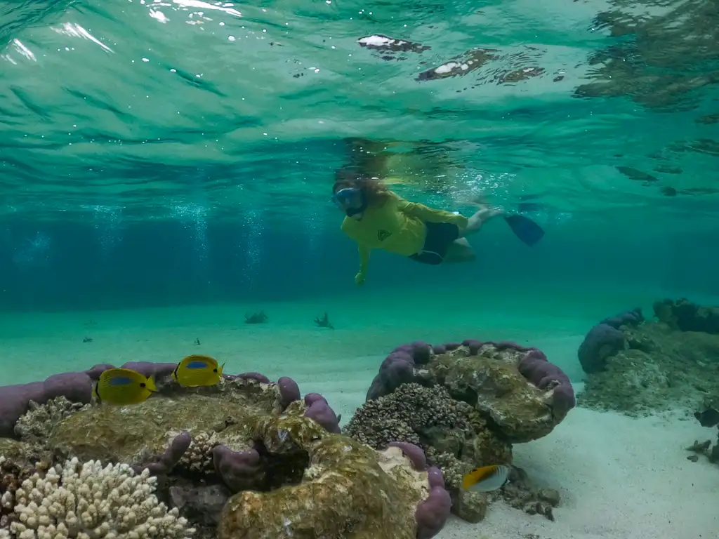 Coral By Kayak | Exmouth