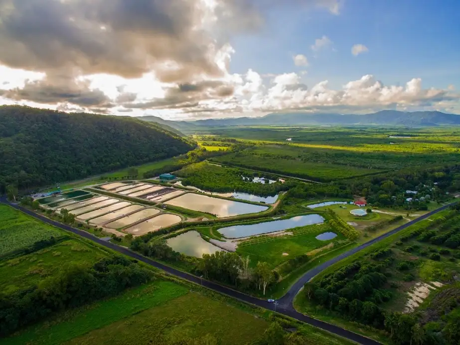 Hook-A-Barra Tour with Lunch & Port Douglas Transfers