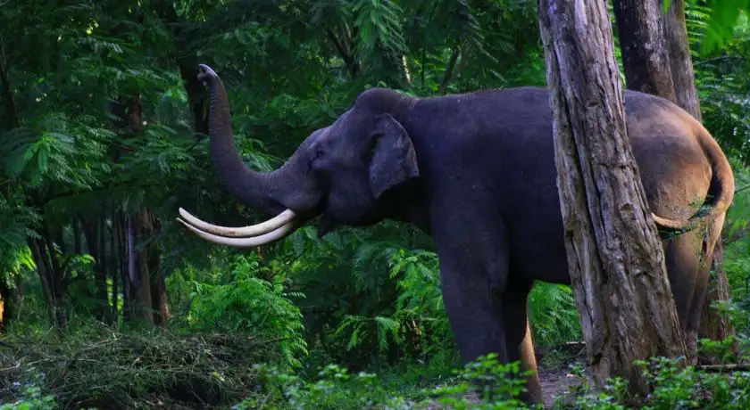 Amazing Kerala
