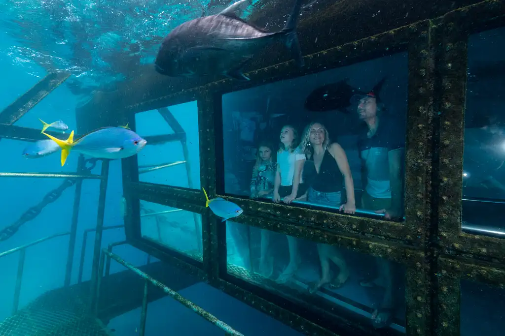 Cairns to Great Barrier Reef Cruise | Reef Magic Cruises