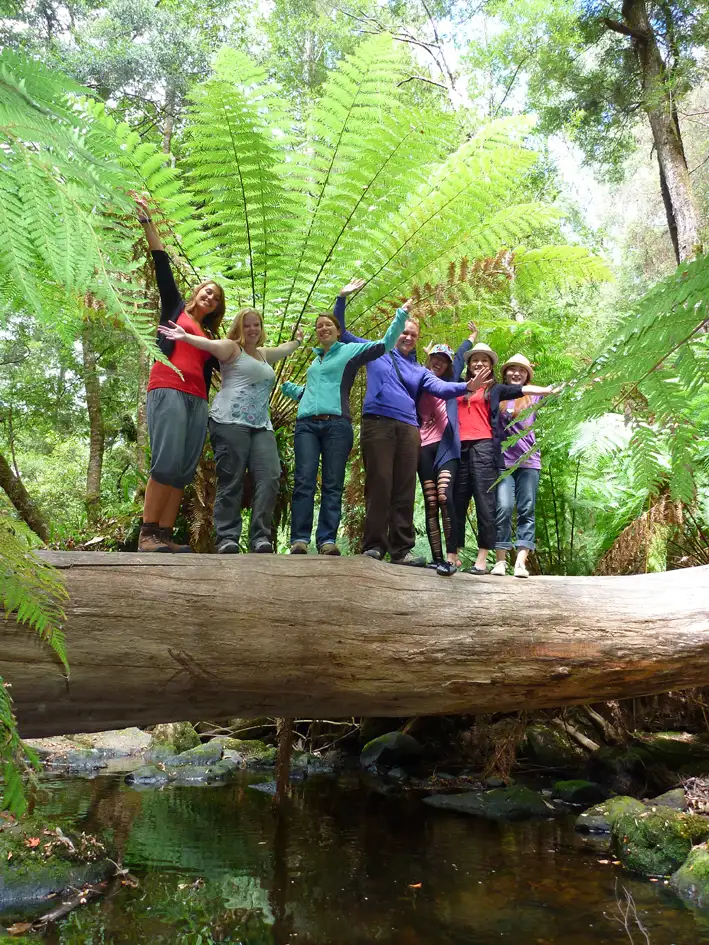 Mount Field, Mt Wellington & Wildlife Sanctuary Tour From Hobart
