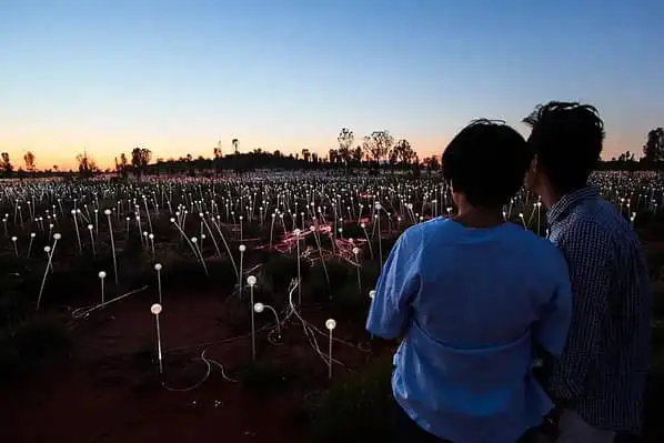 Uluru Field of Light
