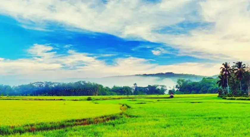 Amazing Kerala