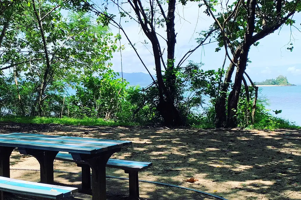 Explore Dunk Island Day Tour | From Cairns