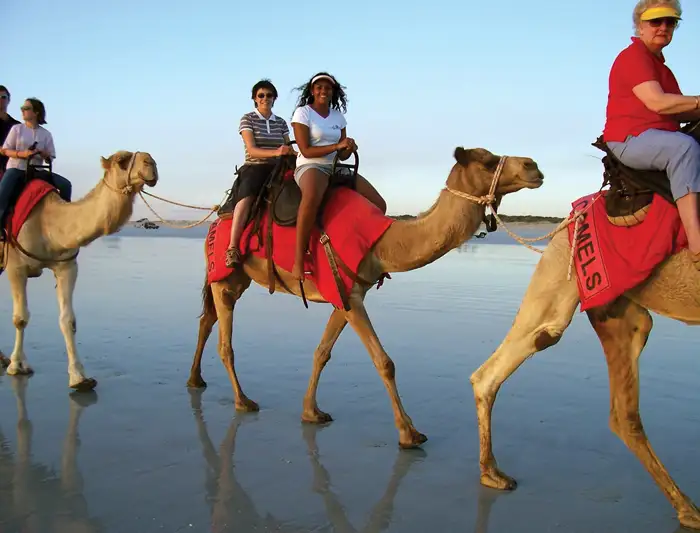 10 Day 4WD Tour From Broome To Darwin