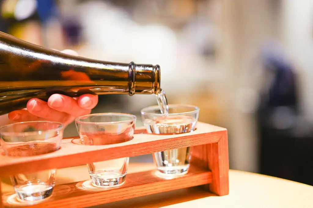 Kyoto Night Foodie Tour