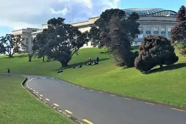 Pukekawa (Auckland Domain)