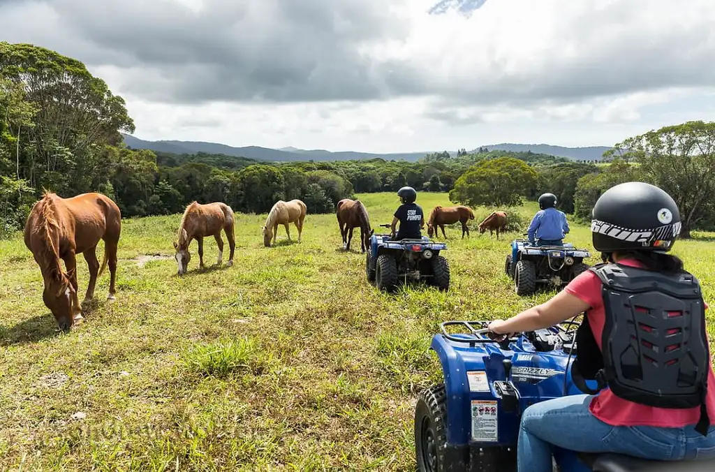 ATV Rainforest Tour with Petting Zoo Kuranda (60 minutes)