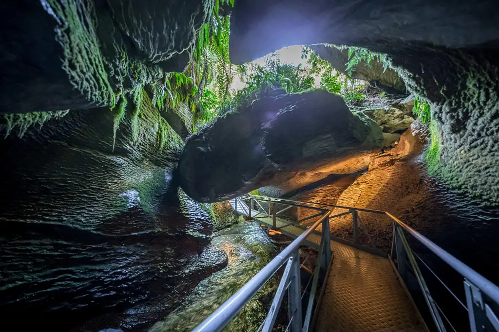 Te Anau Glowworm Cave Tour