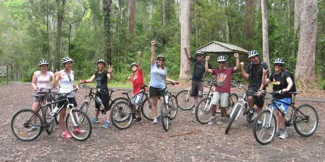 Rainforest Mountain Bike Tour