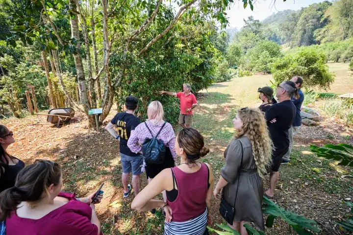 Indigenous Yarning Tour | Tweed Heads
