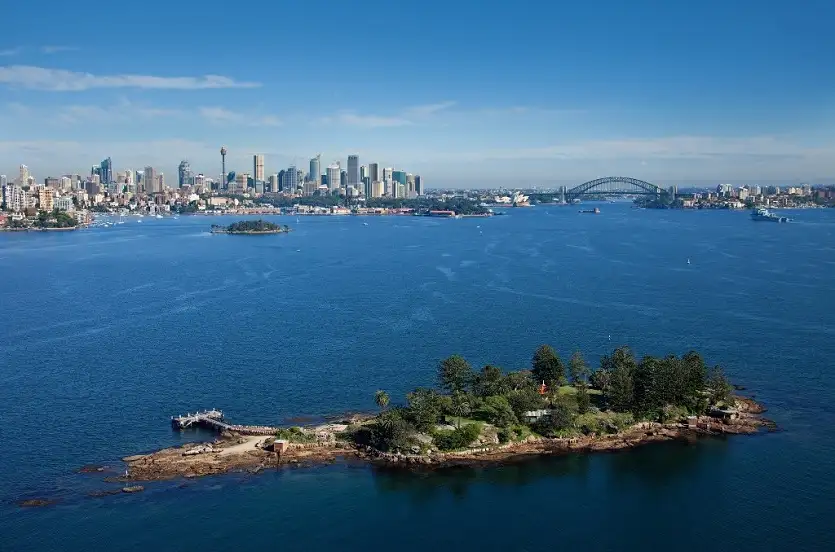 Sydney Harbour Morning Tea Cruise