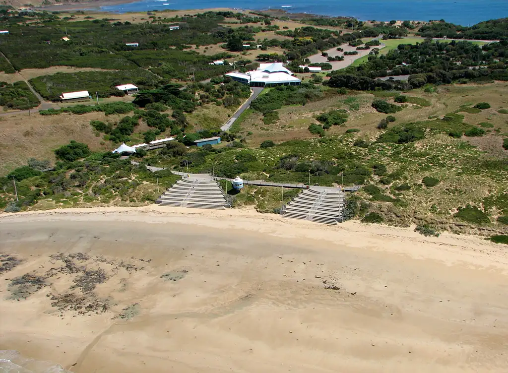 Scenic Flight 3 –  Seal Rocks, Penguins & The GP Circuit