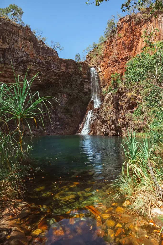 Litchfield National Park & Jumping Crocodile Cruise Full Day Adventure