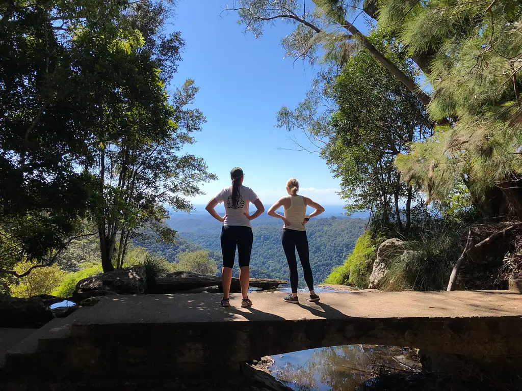 Springbrook Full Day Tour from Brisbane