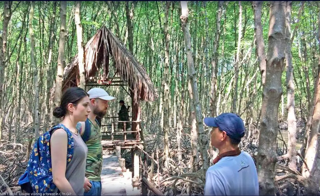 Can Gio and Monkey Island Tour with Lunch | Full Day Guided Tour