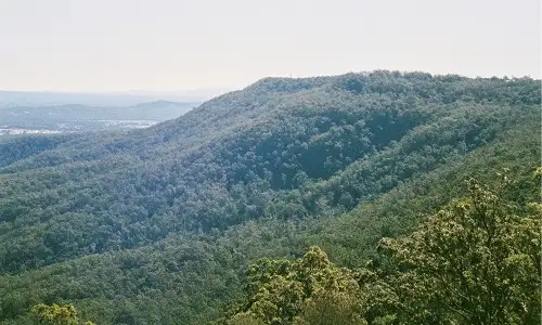 Tamborine Mountain