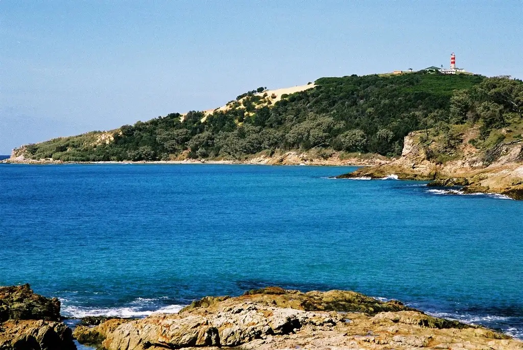 1 Day Moreton Island 4WD Eco Sightseeing Tour