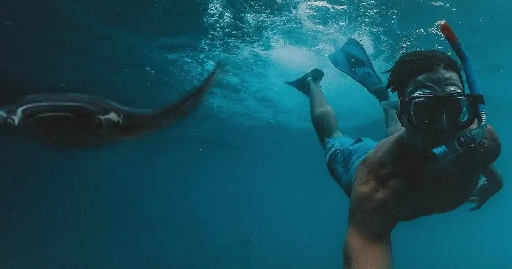 Snorkelling Tour Nguthungulli Julian Rocks | From Byron Bay