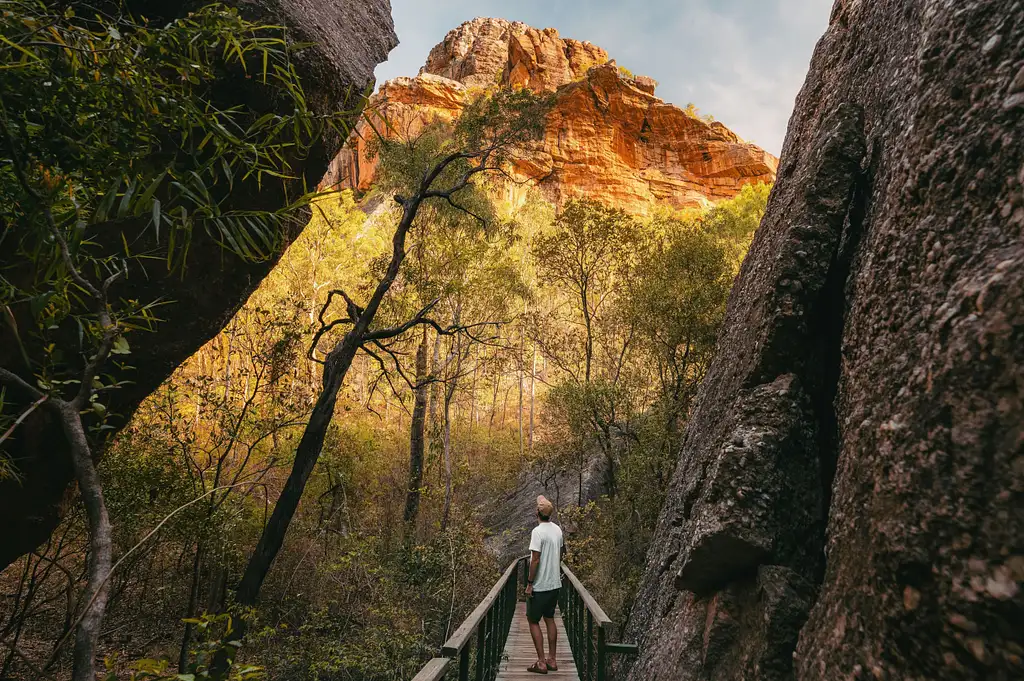 2 Day Kakadu Retreat & Yellow River | From Darwin (Nov - Mar)