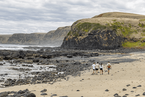 full day tours mornington peninsula